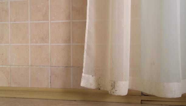 Best Mold Documentation for Insurance Claims  in North Fork, CA