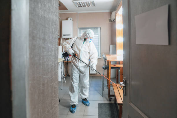 Best Indoor Air Quality Assessment  in North Fork, CA