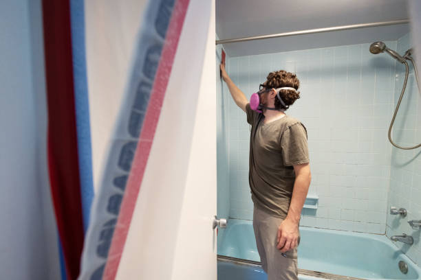 Professional Mold Removal in North Fork, CA