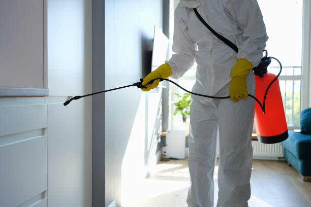Mold Documentation for Insurance Claims in North Fork, CA
